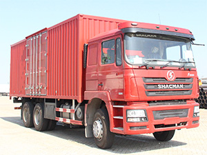 Cargo Truck / SHACMAN F3000 heavy duty cargo truck