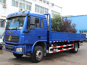 shacman flatbed trucks for sale,shacman cargo trucks l3000