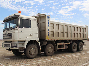 12 wheelers tipper truck,tipper truck manufacturer,shacman F3000 tipper